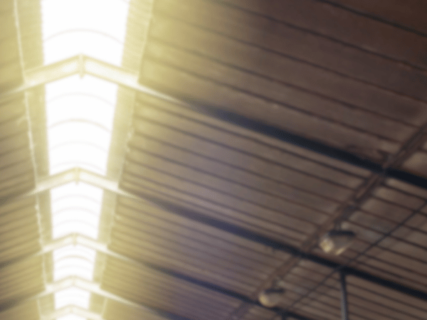 farm-shed-roofing-repairs-painting-services